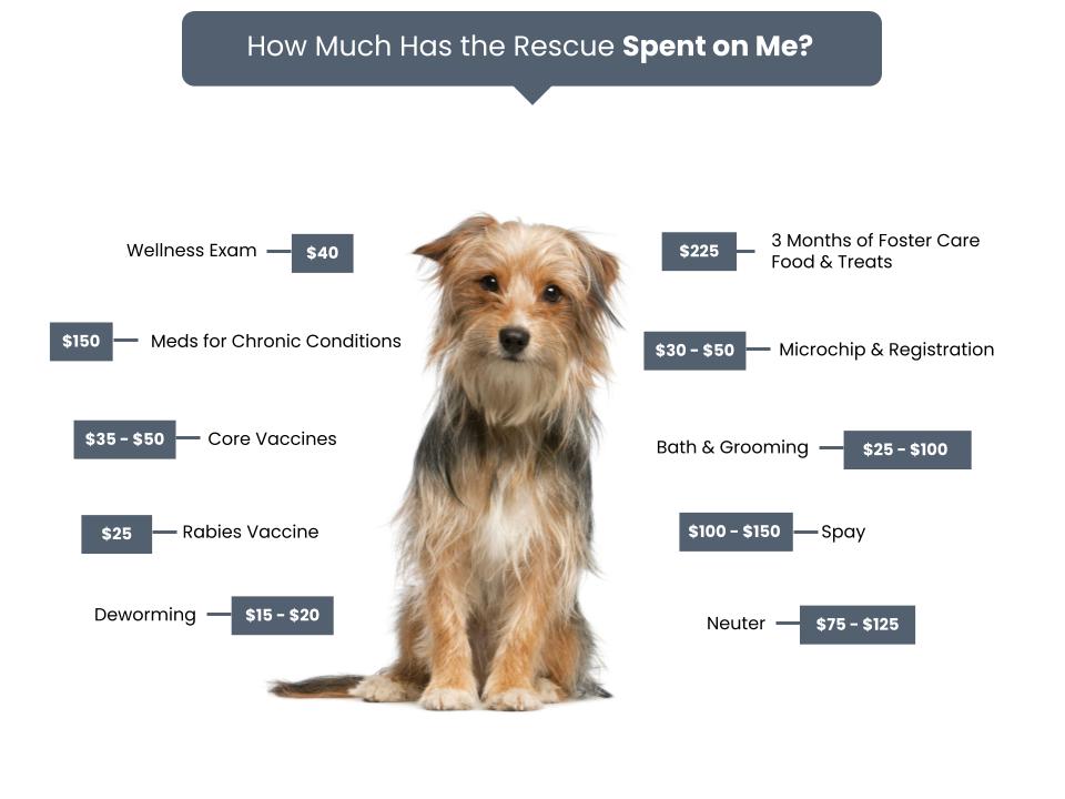 3 Dog Rescue Fee Graphic copy