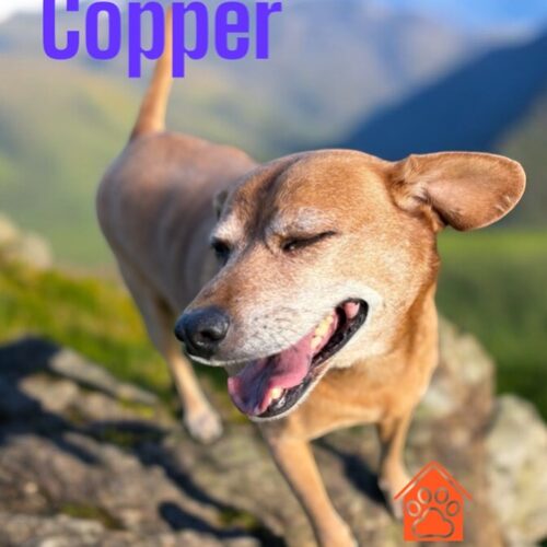 Copper